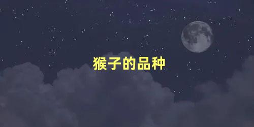 猴子的品种