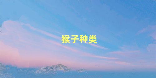 猴子种类