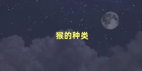 猴的种类