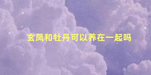 玄凤和牡丹可以养在一起吗