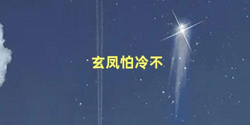 玄凤怕冷不