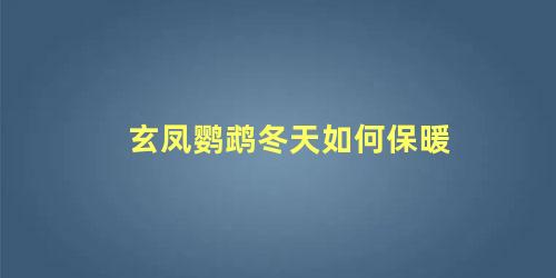 玄凤鹦鹉冬天如何保暖
