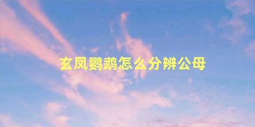玄凤鹦鹉怎么分辨公母