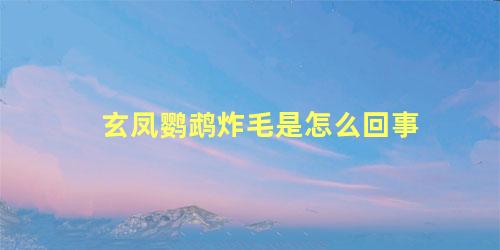 玄凤鹦鹉炸毛是怎么回事