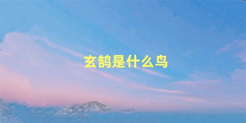 玄鹄是什么鸟