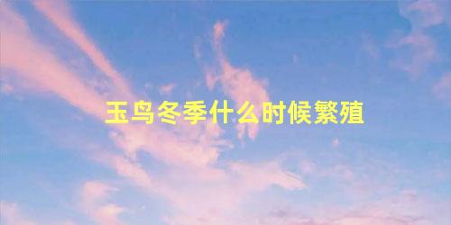 玉鸟冬季什么时候繁殖