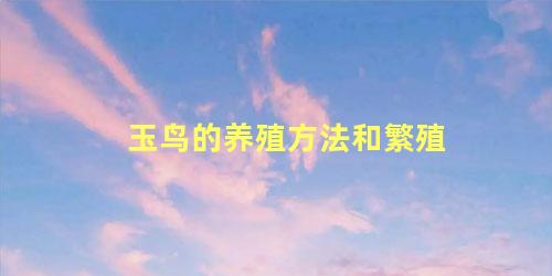 玉鸟的养殖方法和繁殖