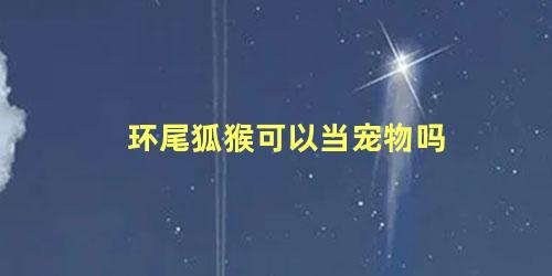 环尾狐猴可以当宠物吗
