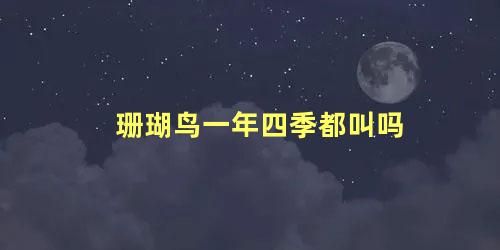 珊瑚鸟一年四季都叫吗