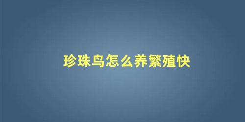 珍珠鸟怎么养繁殖快