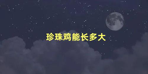 珍珠鸡能长多大