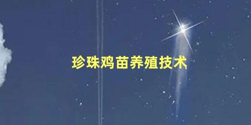 珍珠鸡苗养殖技术