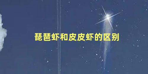 琵琶虾和皮皮虾的区别