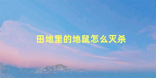 田地里的地鼠怎么灭杀