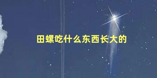 田螺吃什么东西长大的