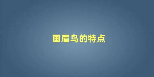 画眉鸟的特点