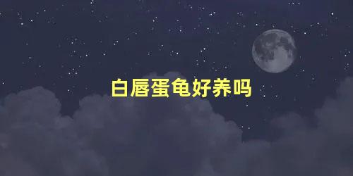 白唇蛋龟好养吗