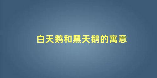白天鹅和黑天鹅的寓意