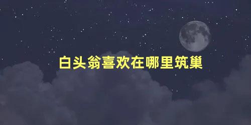 白头翁喜欢在哪里筑巢