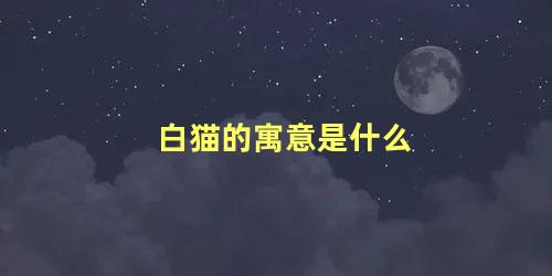 白猫的寓意是什么