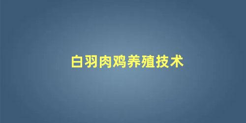白羽肉鸡养殖技术