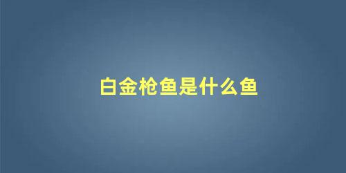 白金枪鱼是什么鱼