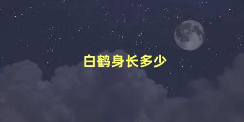 白鹤身长多少