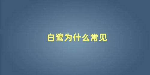 白鹭为什么常见