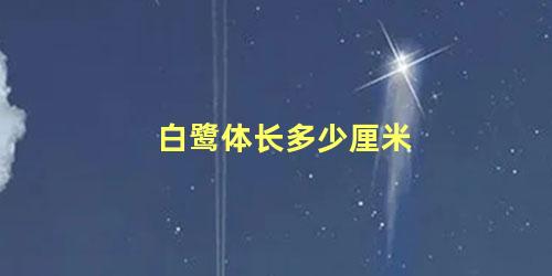 白鹭体长多少厘米