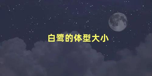 白鹭的体型大小