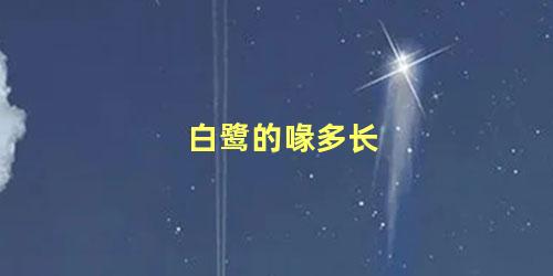 白鹭的喙多长