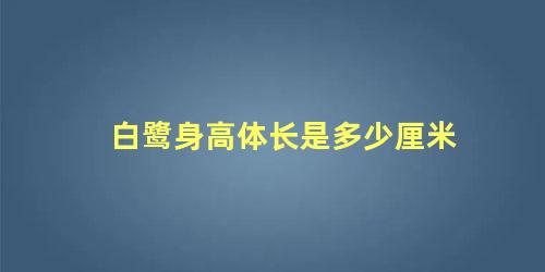白鹭身高体长是多少厘米