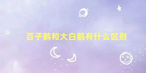 百子鹅和大白鹅有什么区别