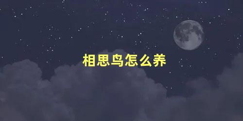 相思鸟怎么养