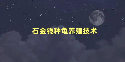 石金钱种龟养殖技术