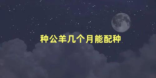 种公羊几个月能配种
