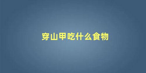 穿山甲吃什么食物