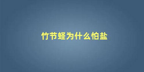 竹节蛏为什么怕盐