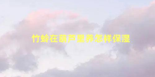 竹蛉在葫芦里养怎样保湿