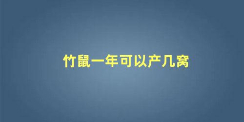竹鼠一年可以产几窝