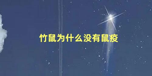竹鼠为什么没有鼠疫