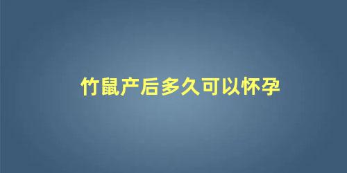 竹鼠产后多久可以怀孕