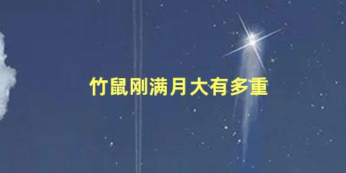 竹鼠刚满月大有多重