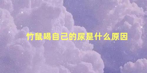 竹鼠喝自己的尿是什么原因