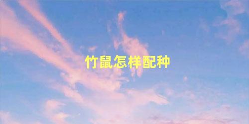 竹鼠怎样配种
