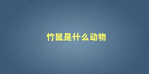 竹鼠是什么动物
