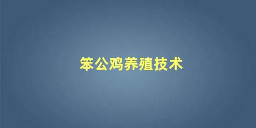 笨公鸡养殖技术