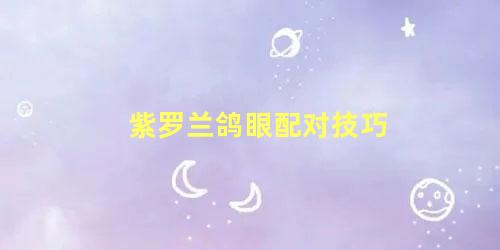 紫罗兰鸽眼配对技巧