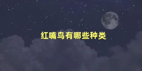 红嘴鸟有哪些种类