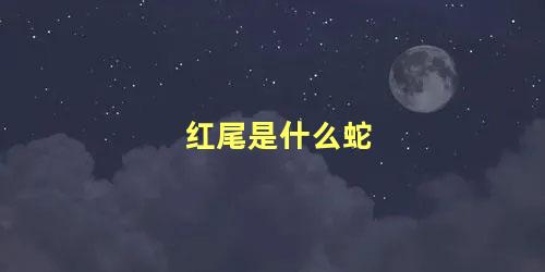 红尾是什么蛇